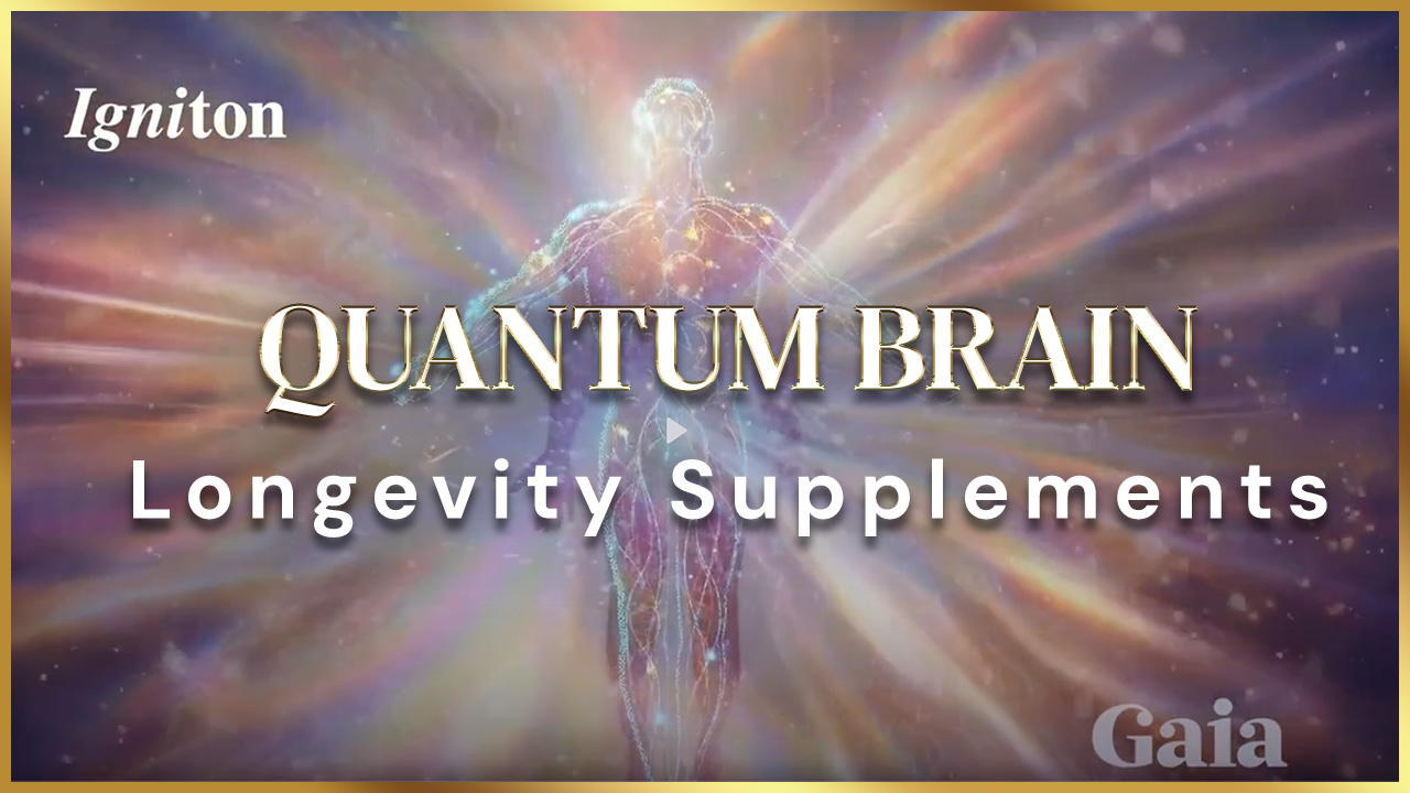 Igniton Quantum Brain and Longevity Supplements